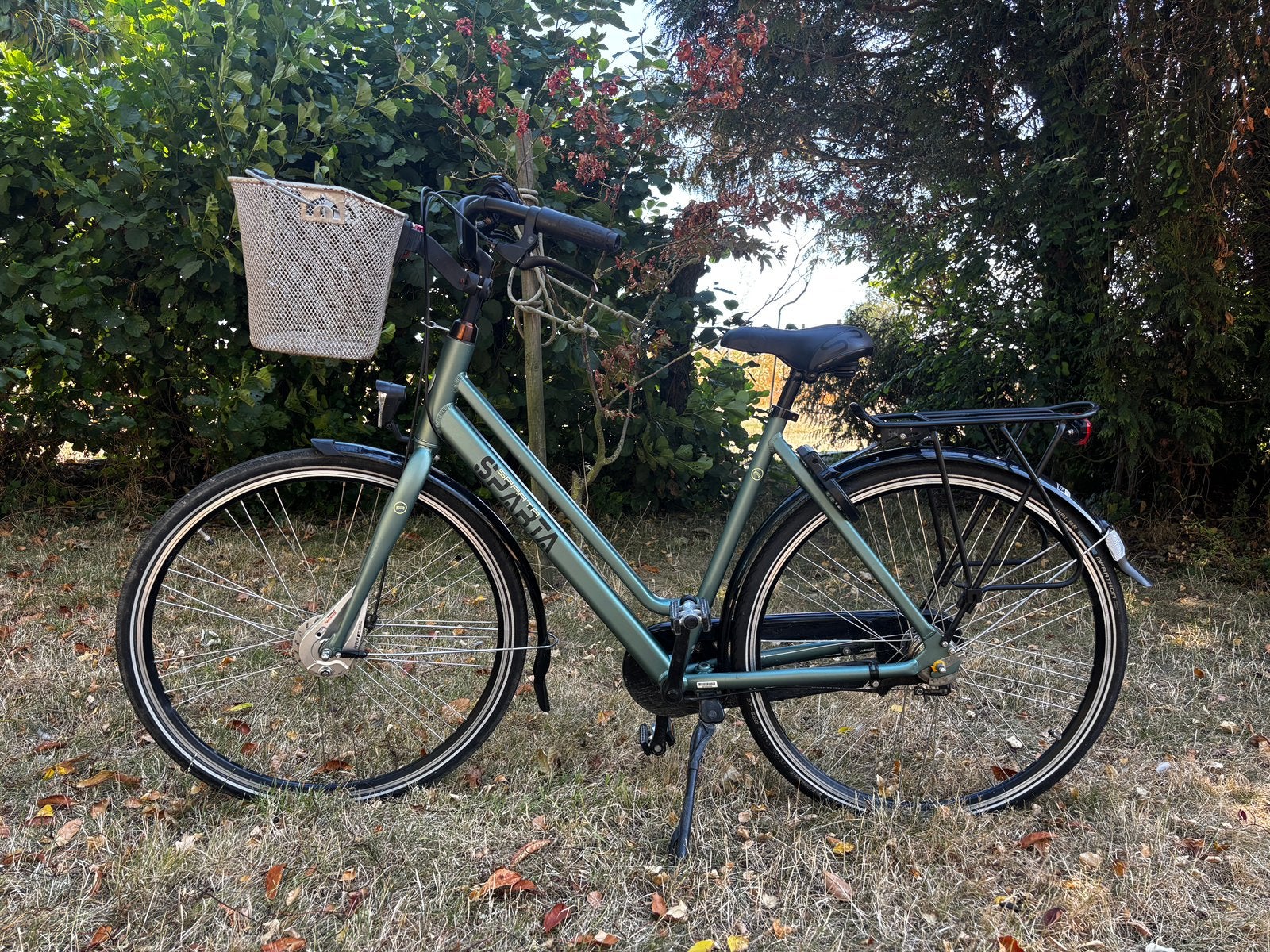Damesfiets, Ophalen, Gebruikt, Overige merken