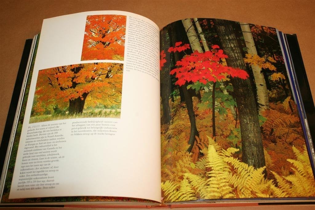 Bomen uit de gehele wereld [dik boek, prachtig geïllustreerd, Ophalen of Verzenden, Gelezen, Bloemen, Planten en Bomen