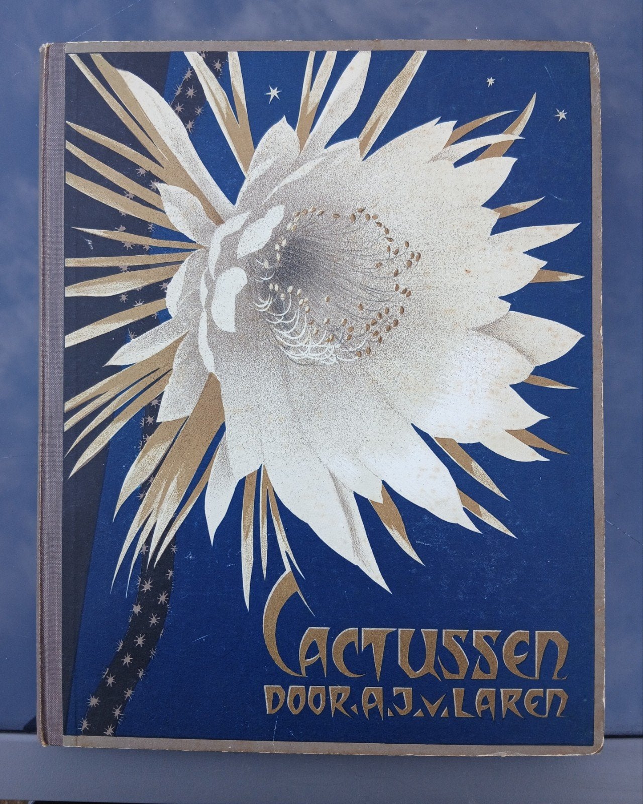 Cactussen - Verkade Album 1931 - Compleet, Ophalen of Verzenden, Gelezen