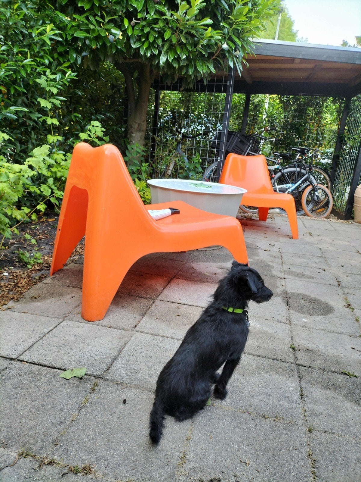 Oranje kunststof tuinstoelen (2 stuks), Ophalen, Gebruikt, Kunststof