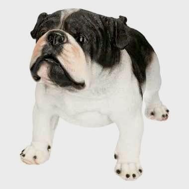 Franse & Engelse bulldog beelden uniek en zwart wit, Ophalen of Verzenden, Nieuw, Dier