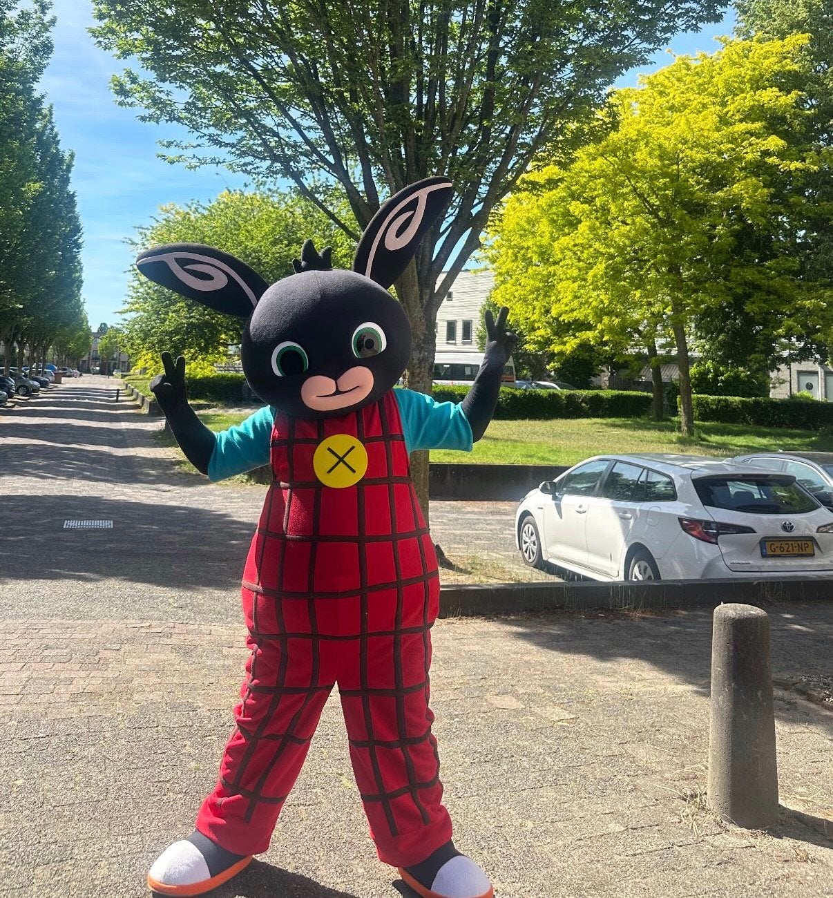 BING mascotte te boek‼️, Ophalen, Zo goed als nieuw