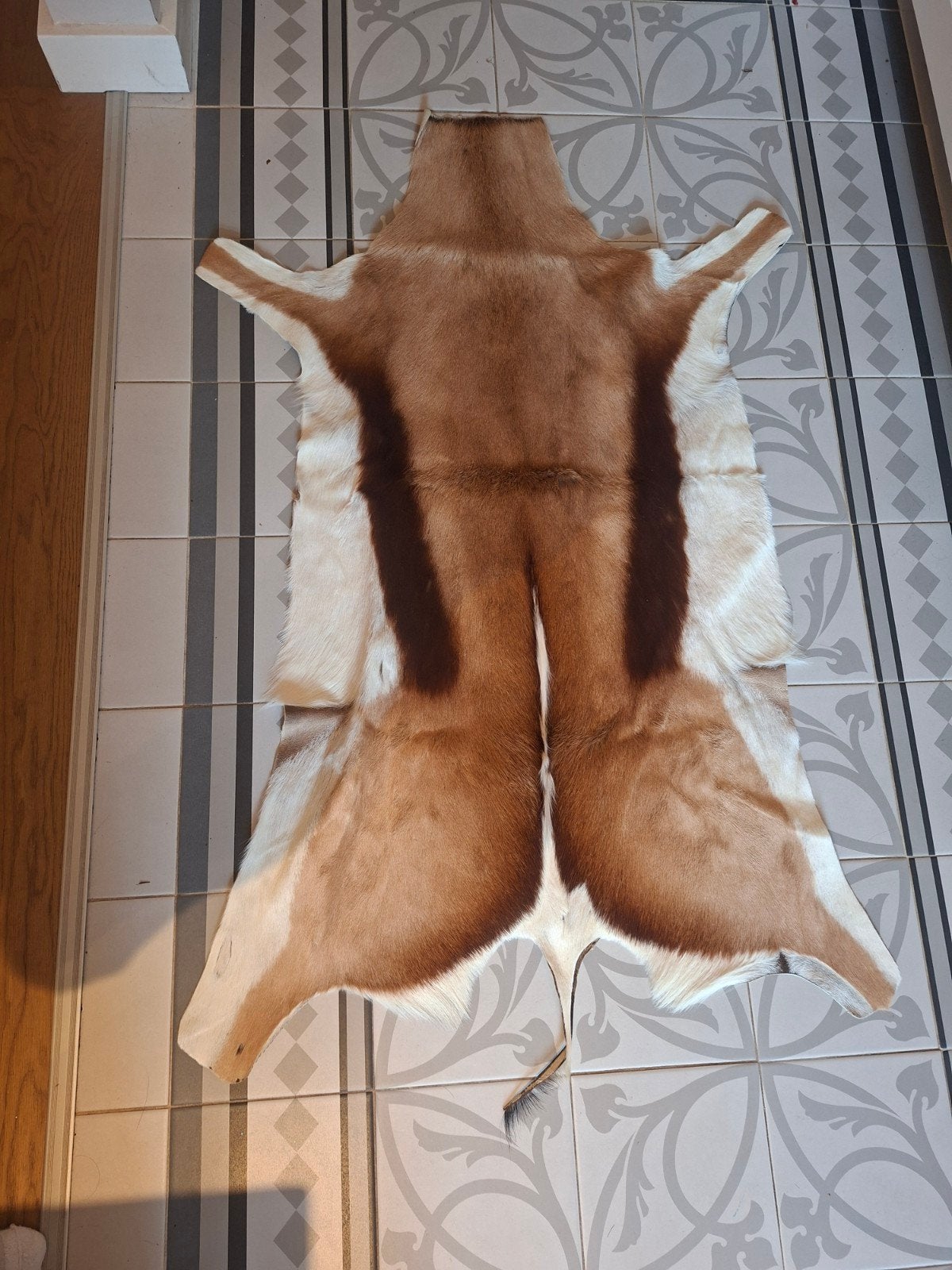 Springbok Huid, Huis en Inrichting, Ophalen of Verzenden, Meerkleurig, Leer, Landelijk
