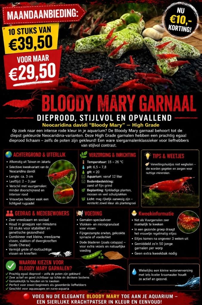 Maandaanbieding: Bloody Mary High Grade garnalen, Kreeft, Krab of Garnaal