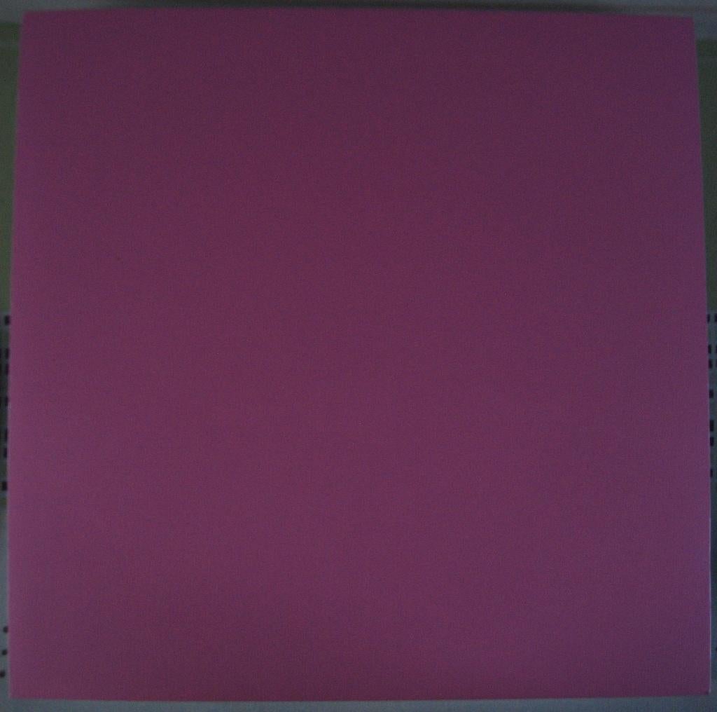 Scrapbook vel karton papier blad Duo-tone roze/rood., Hobby en Vrije tijd, Scrapbooking, Ophalen of Verzenden, Nieuw, Papier of Karton