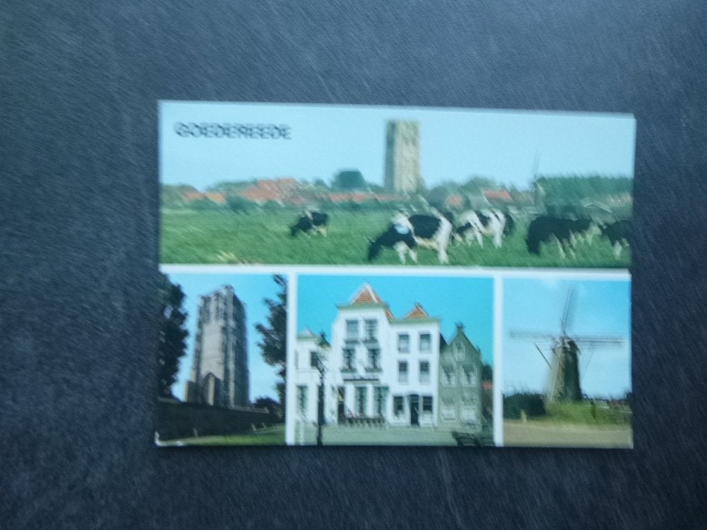 Goedereede, koe weiland/molen, Verzenden, 1980 tot heden, Gelopen, Gelderland