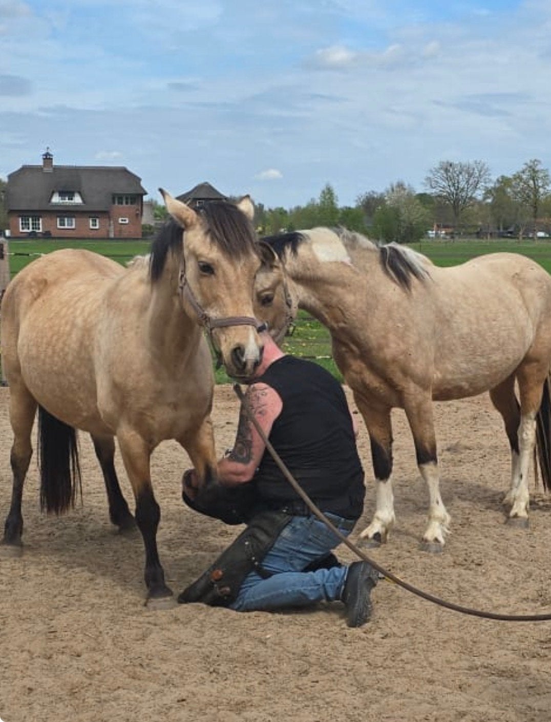 Gediplomeerd Hoefbekapper/Hoefspecialist/Barefoot trimmer, Gedragstraining