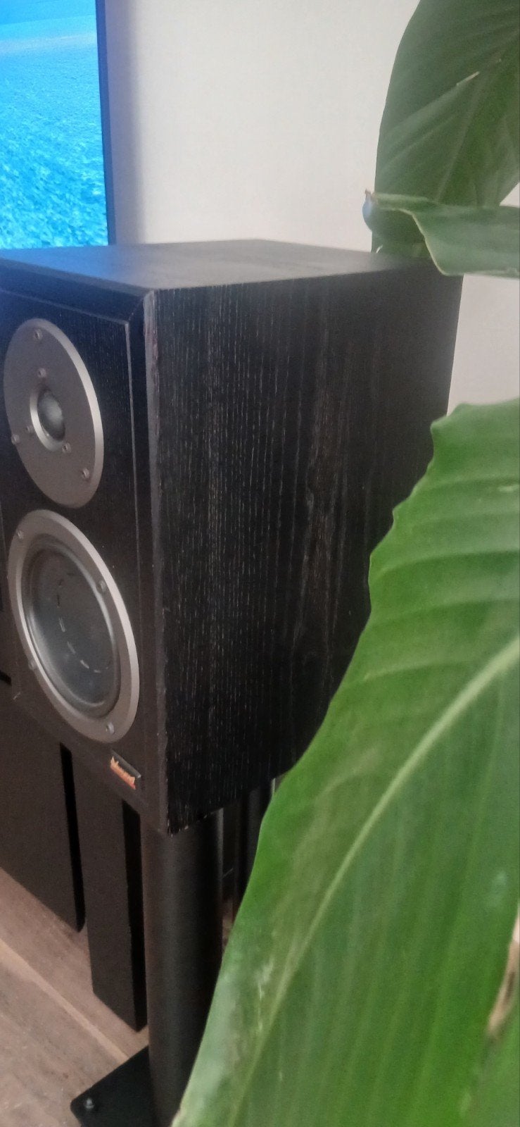 Dynaudio contour 1