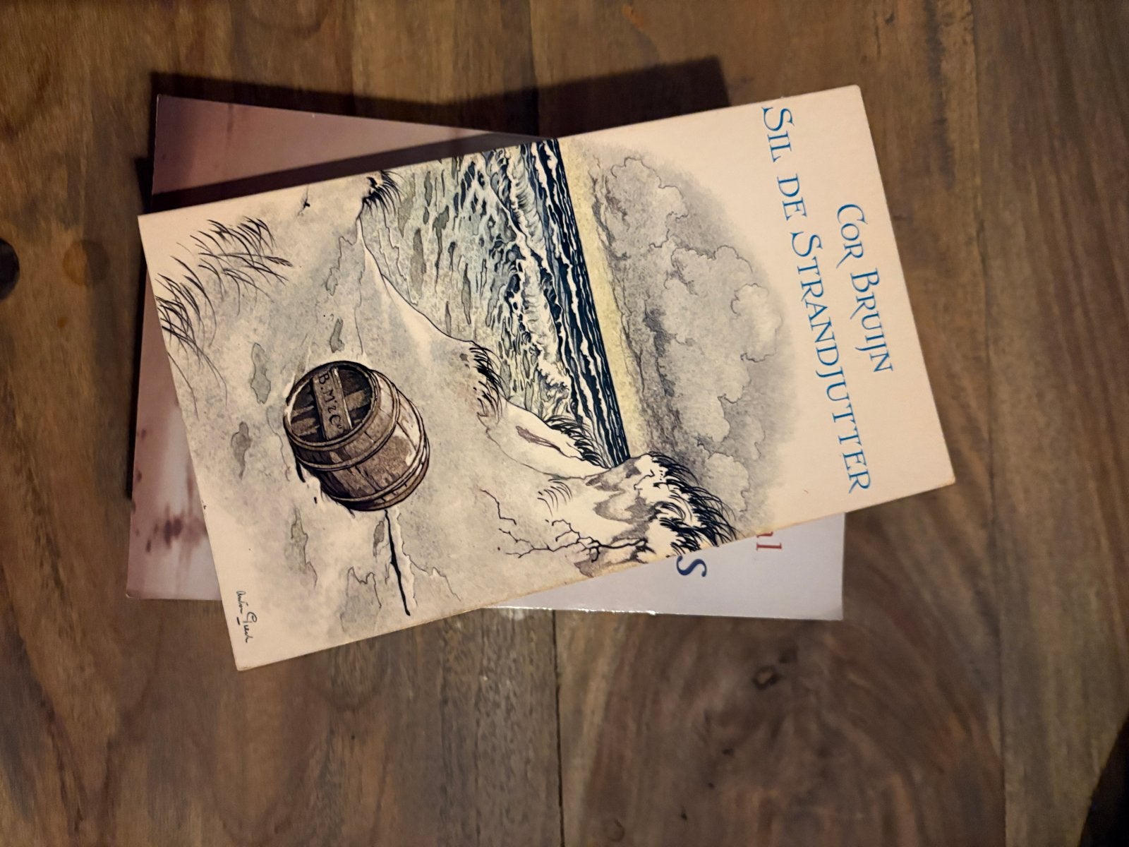 Sil de Strandjutter - Cor Bruijn (Boek), Ophalen of Verzenden, Gelezen, Nederland
