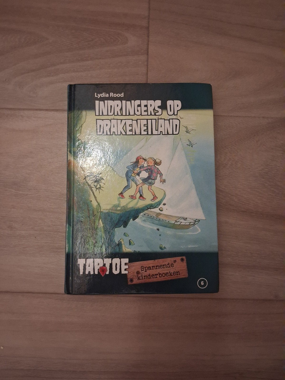 Indringers op Drakeneiland - Spannend kinderboek, Boeken, Verzenden, Zo goed als nieuw, Lydia Rood, Fictie algemeen
