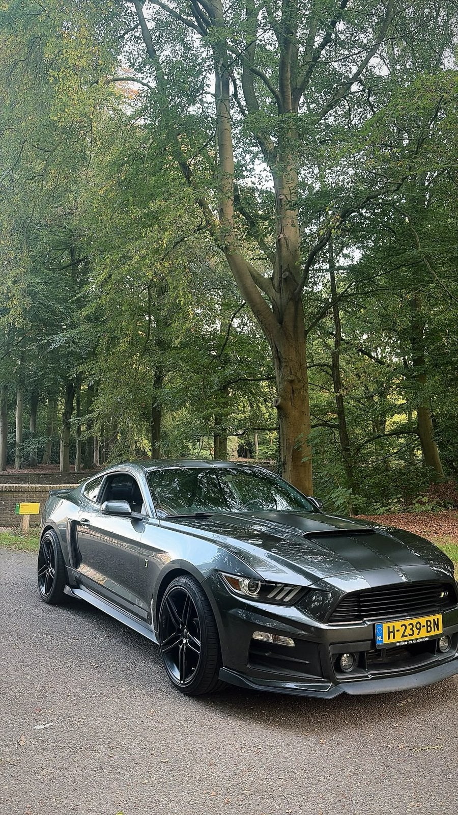 Zeer unieke  mooie Ford Mustang Roush 2016., Auto's, 4 stoelen, 2261 cc, Particulier, Mustang