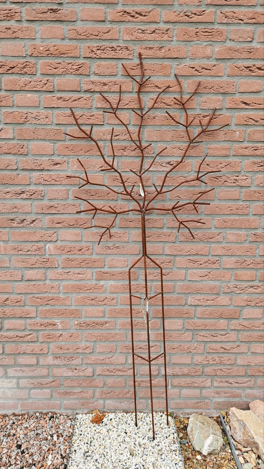 Diverse plantensteunen van metaal - roestkleurig, Ophalen, Klimplanten
