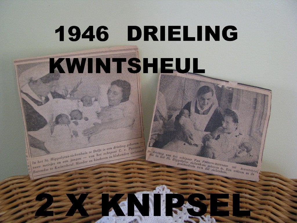 Drieling geboren in 1946 * Fam. van Paassen Kwintsheul *, Ophalen of Verzenden