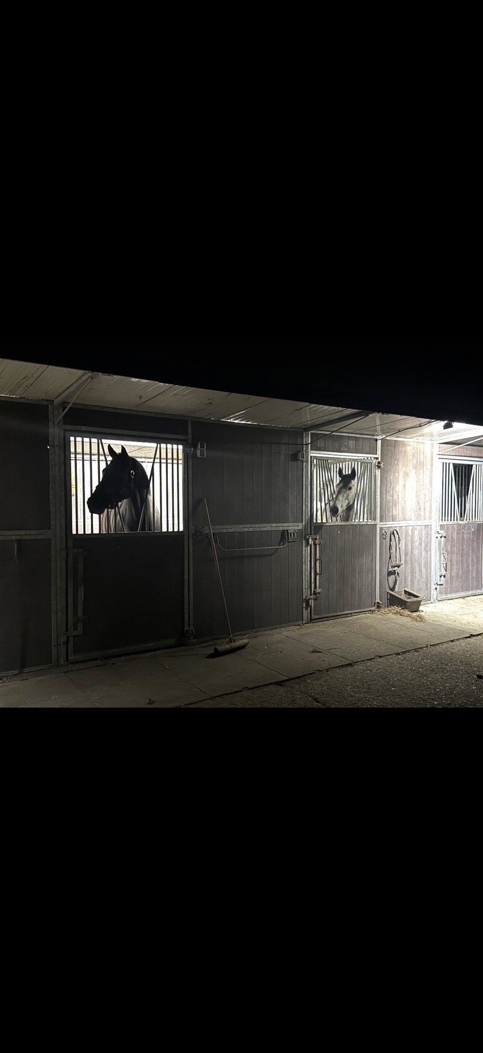 Pensionstalling Westbroek : veel buiten, onbeperkt hooi, Dieren en Toebehoren, Weidegang, 4 paarden of pony's of meer
