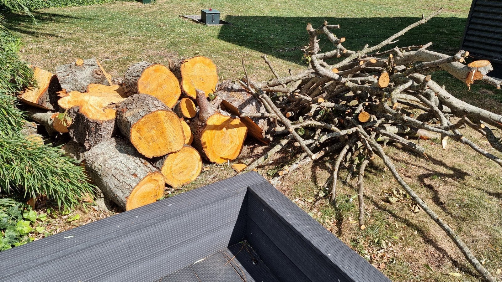 Haardhout stammen Els, Minder dan 3 m³, Ophalen