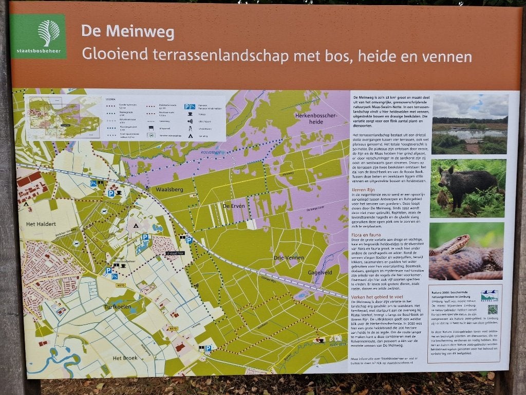 te koop bosgrond / bosperceel Nationaal Park de Meinweg (!!), Tuin en Terras, Ophalen, Volle zon, Overige soorten