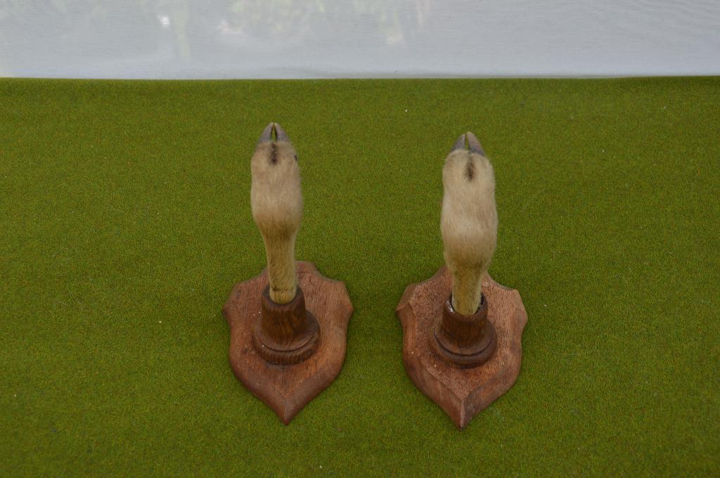 2 oude wandkapstokjes gemaakt van opgezette hertenpootjes, Ophalen of Verzenden