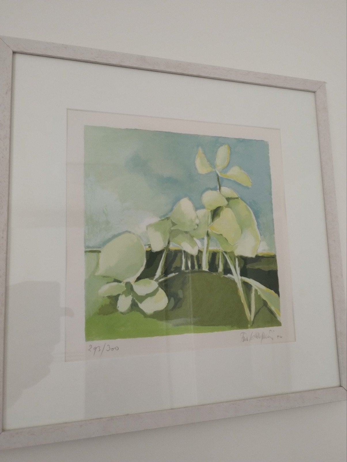Zeefdruk van Fon Klement - Landschap met planten, Landschap, Giclée, Papier/karton, Gelimiteerde oplage