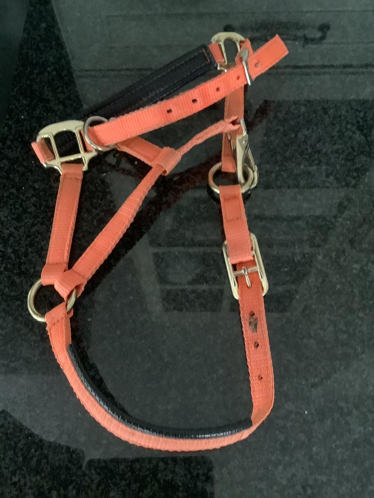 Halster pony., Ophalen of Verzenden, Zo goed als nieuw, Overige soorten