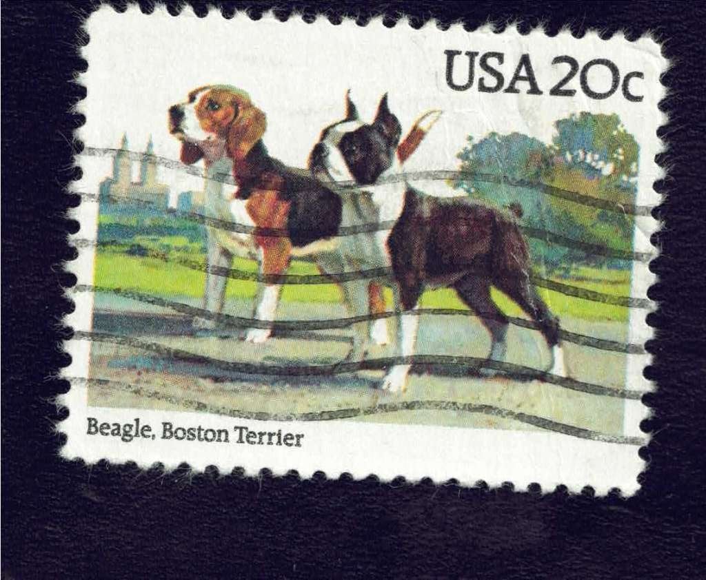 Fauna - Honden - U.S.A. 20 c - Beagle and Boston Terrier, Ophalen of Verzenden, Gestempeld, Dier of Natuur