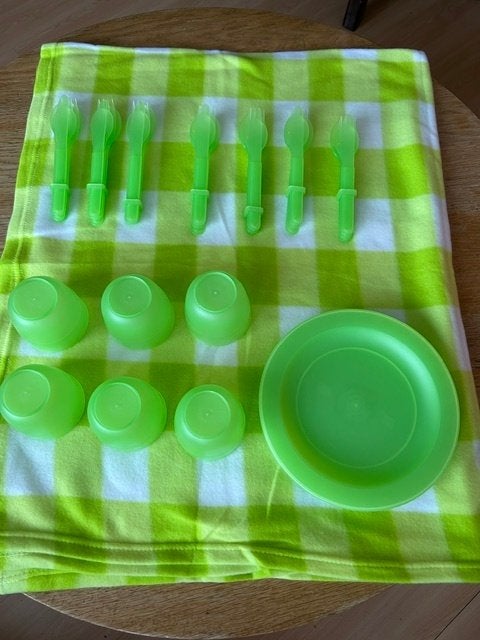 Picknick servies met kleed, Nieuw, Ophalen of Verzenden, Bord(en), Overige stijlen