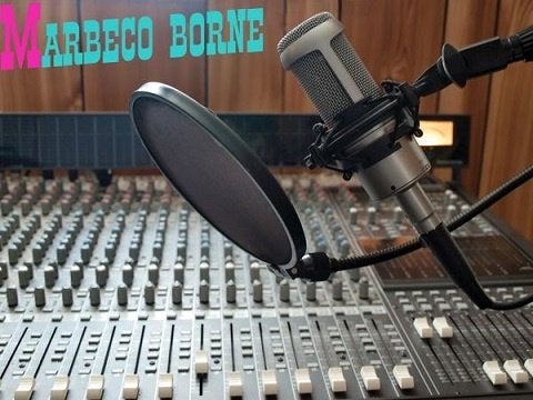 Microfoon Pop Filter,Windkappen, Microfoon Flags, Windshield, Ophalen, Vonyx, Overige typen, Nieuw