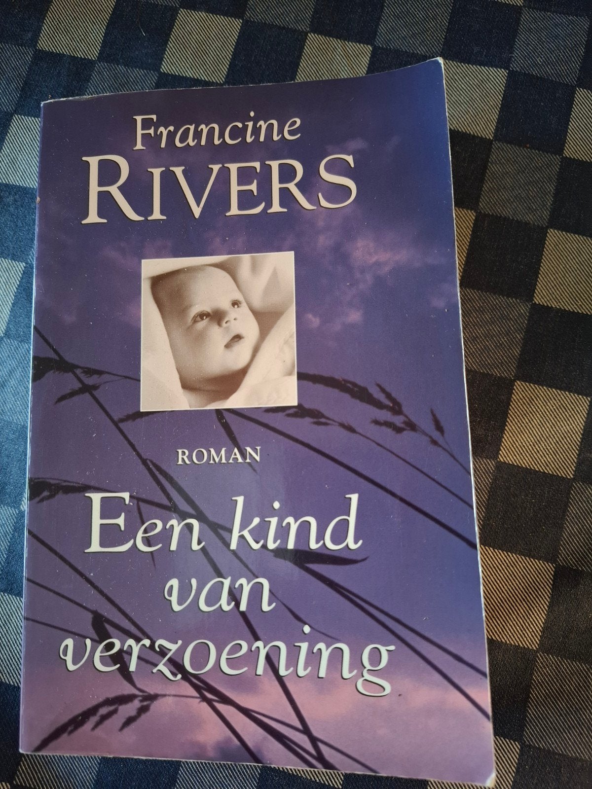 Een kind van verzoening - Francine Rivers (Roman), Ophalen of Verzenden, Gelezen, Francine Rivers, Nederland