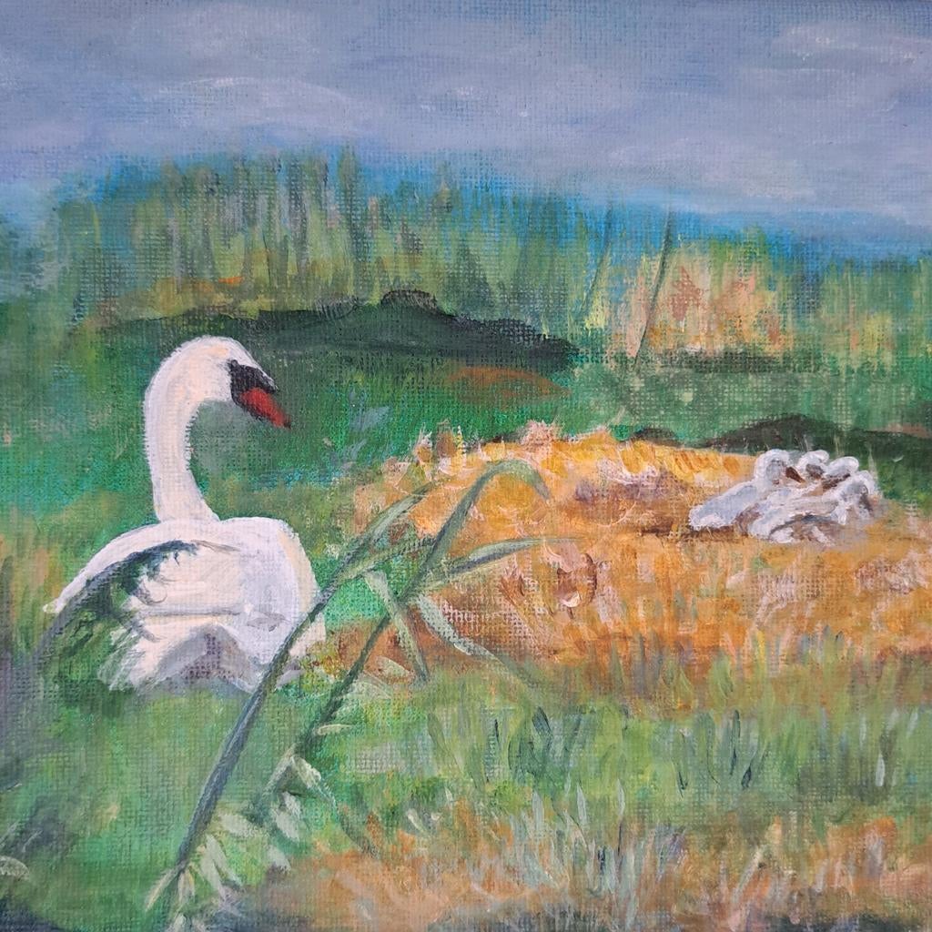 Acryl schilderij zwanennest 40x40 cm, Ophalen of Verzenden