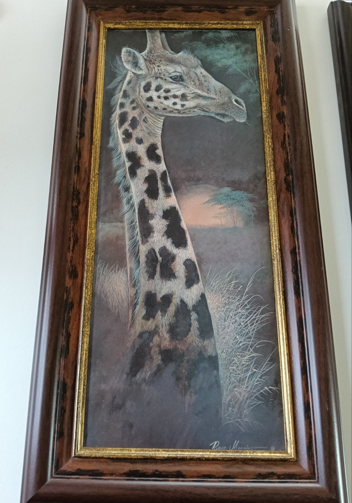 Schilderij van giraffe. Door Ruane Manning, Ophalen of Verzenden, Gebruikt