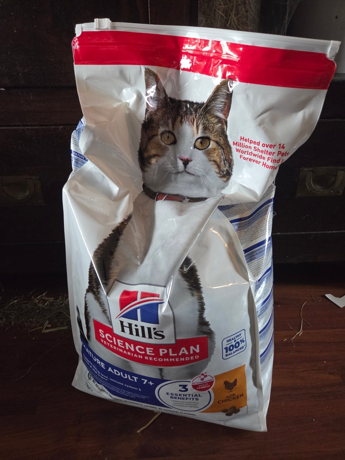 Hill's Science Plan Mature Adult 7+ Kip Katten voer brokken, Dieren en Toebehoren, Dierenvoeding, Ophalen of Verzenden, Kat