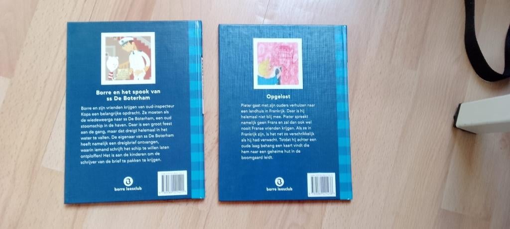 Borre boekjes (groep 6), Ophalen of Verzenden, Zo goed als nieuw, Fictie, Christine Linneweever