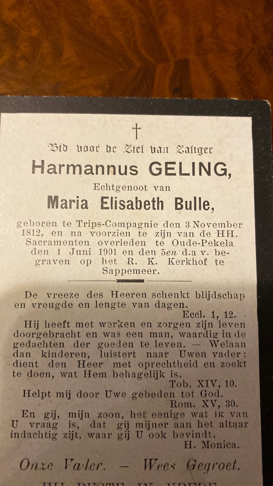 Harmannus Geling x Bulle 1812 Trips-Compagnie 1901 Pekela, Verzamelen, Ophalen of Verzenden