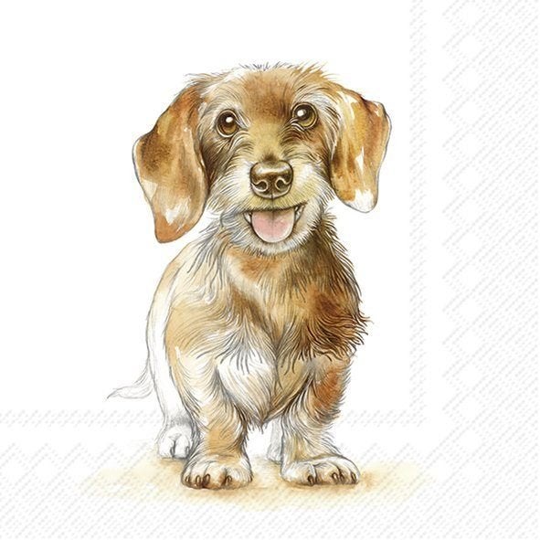 servetten per stuk hond tekkel, knutsel servetten decoupage, Hobby en Vrije tijd, Dieren, Nieuw, Meerkleurig, Ophalen of Verzenden