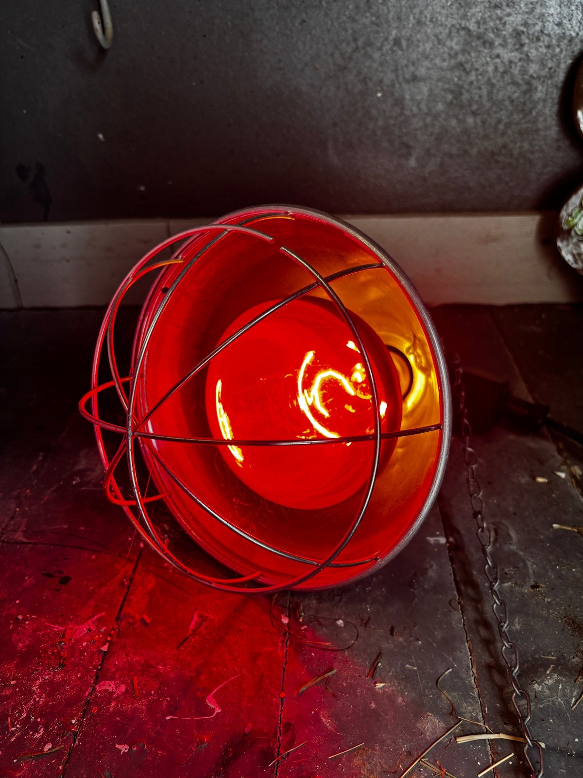 Warmte lamp, Dieren en Toebehoren, Ophalen, Zo goed als nieuw, Overige typen