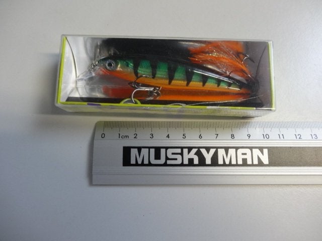Kunstaas: Rapala X-Rap (XR-10) pluggen, Watersport en Boten, Verzenden, Nieuw, Overige typen