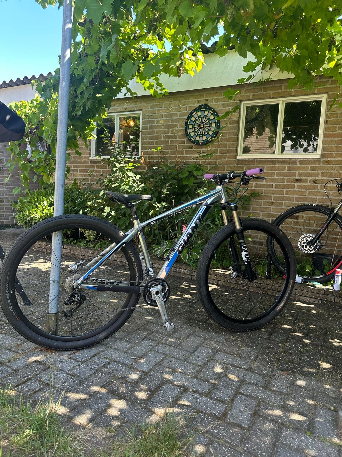 Giant Mountainbike 29 inch zgan, Ophalen, Gebruikt, Hardtail, Giant