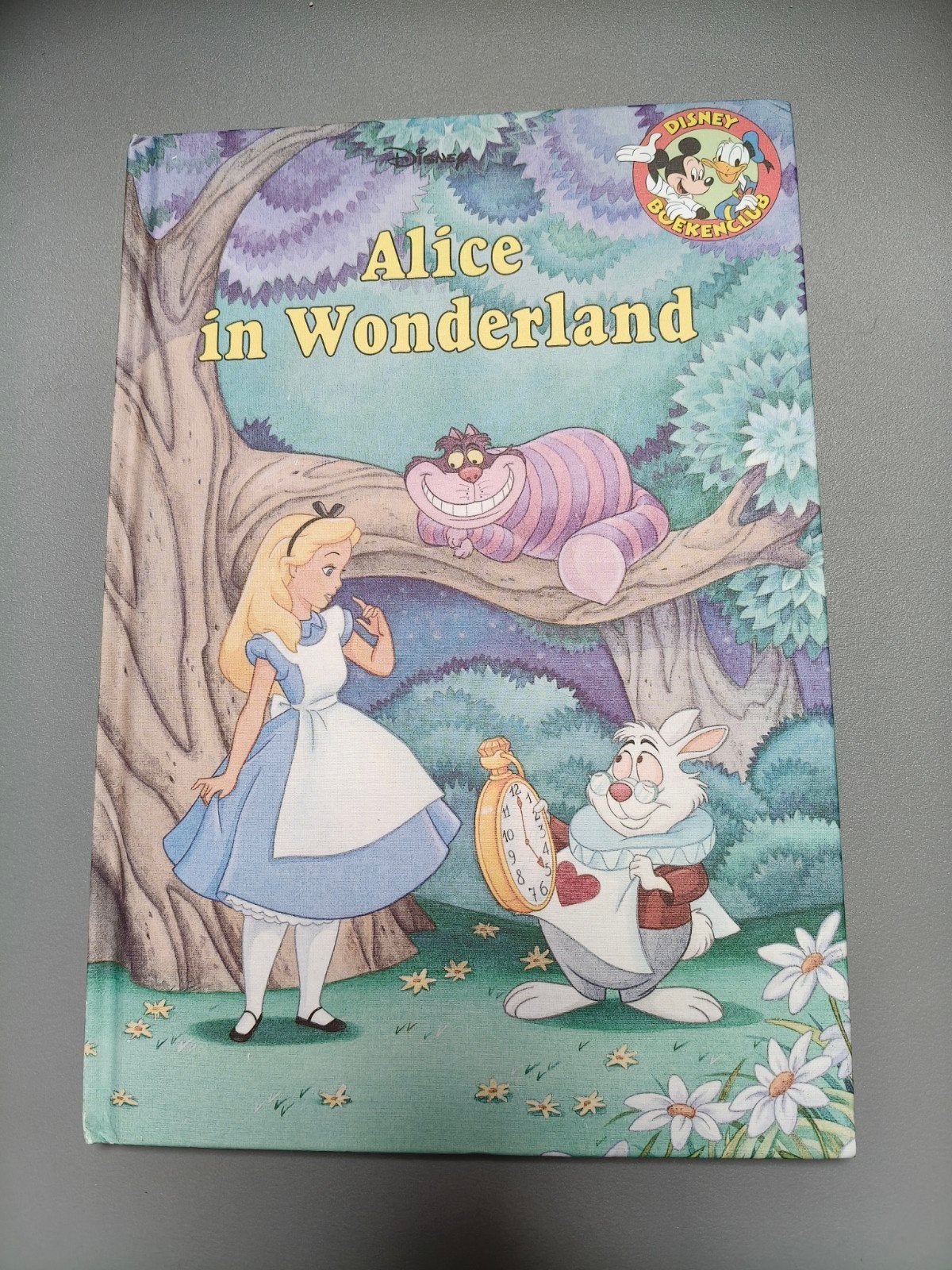Disney's Alice in Wonderland Boek, Ophalen of Verzenden