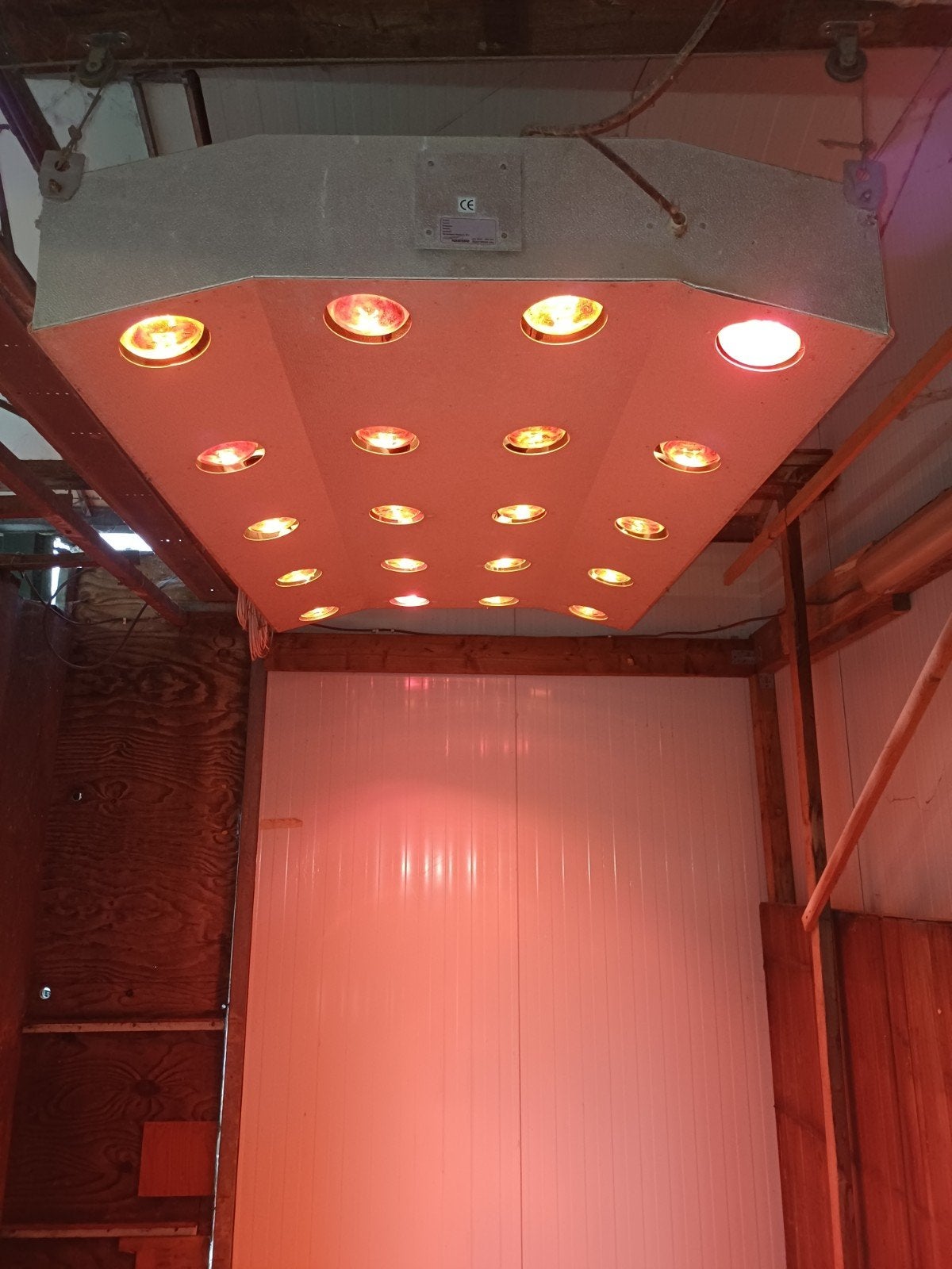 Solarium paard met muntautomaat, Ophalen, Gebruikt
