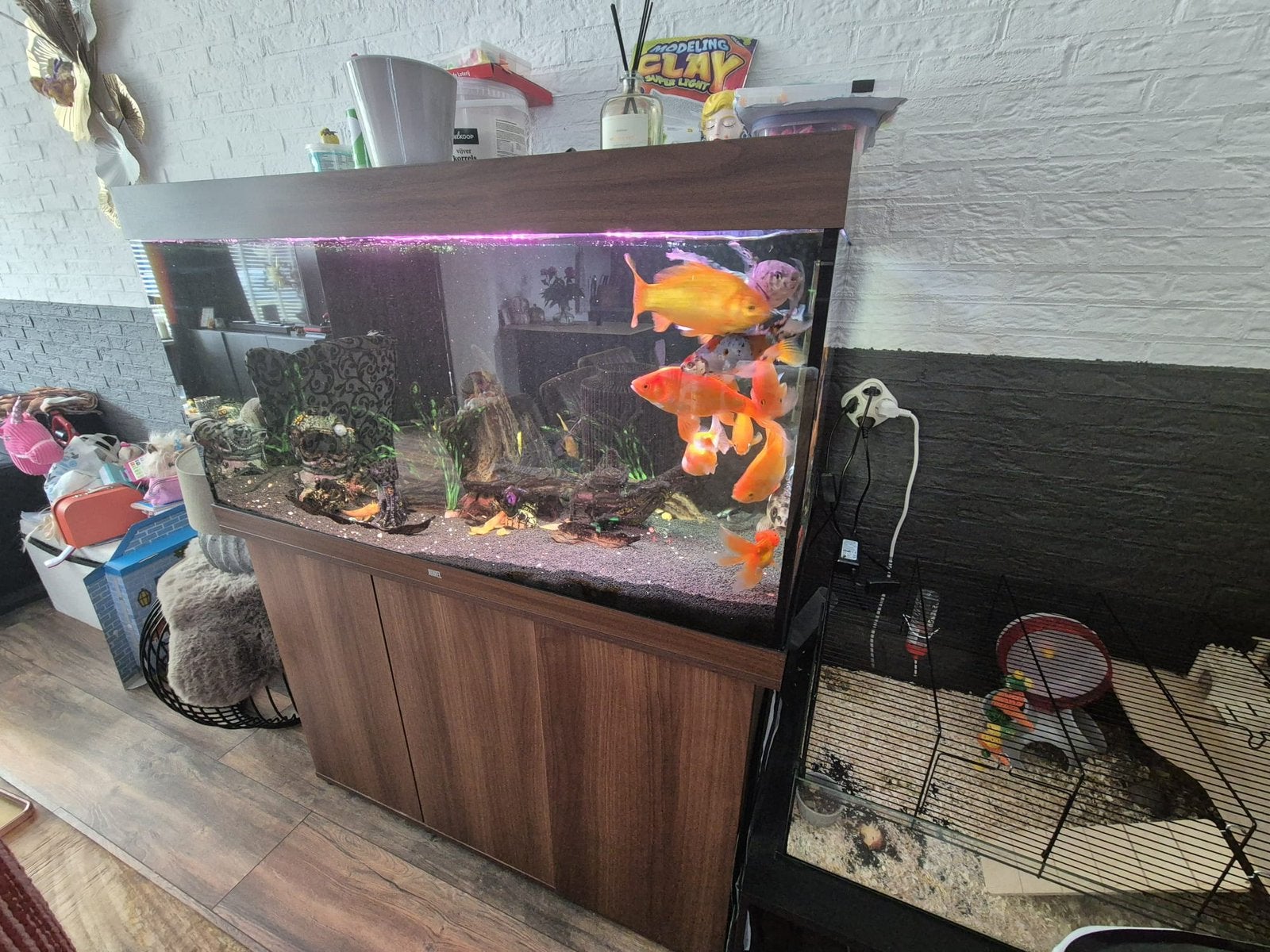 Aqaurium, Ophalen of Verzenden, Zo goed als nieuw, Gevuld zoetwateraquarium