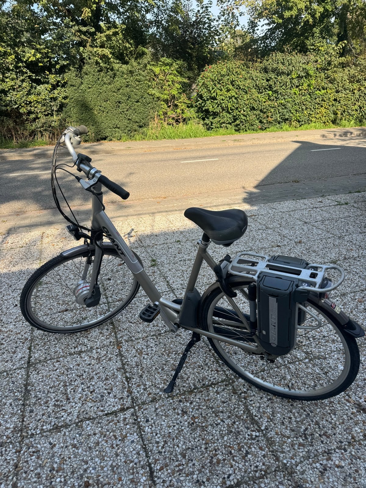 Giant Twist Go Power elektrische fiets, Ophalen, Gebruikt, Giant, 59 cm of meer