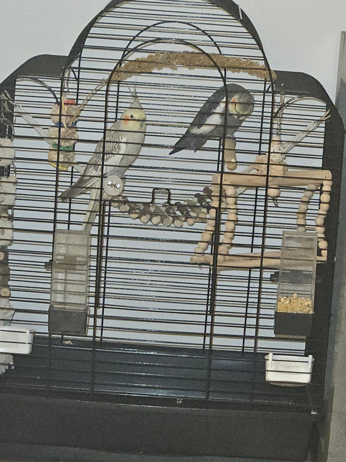 Vogelkooi Zwarte, Ophalen of Verzenden, Metaal, Vogelkooi