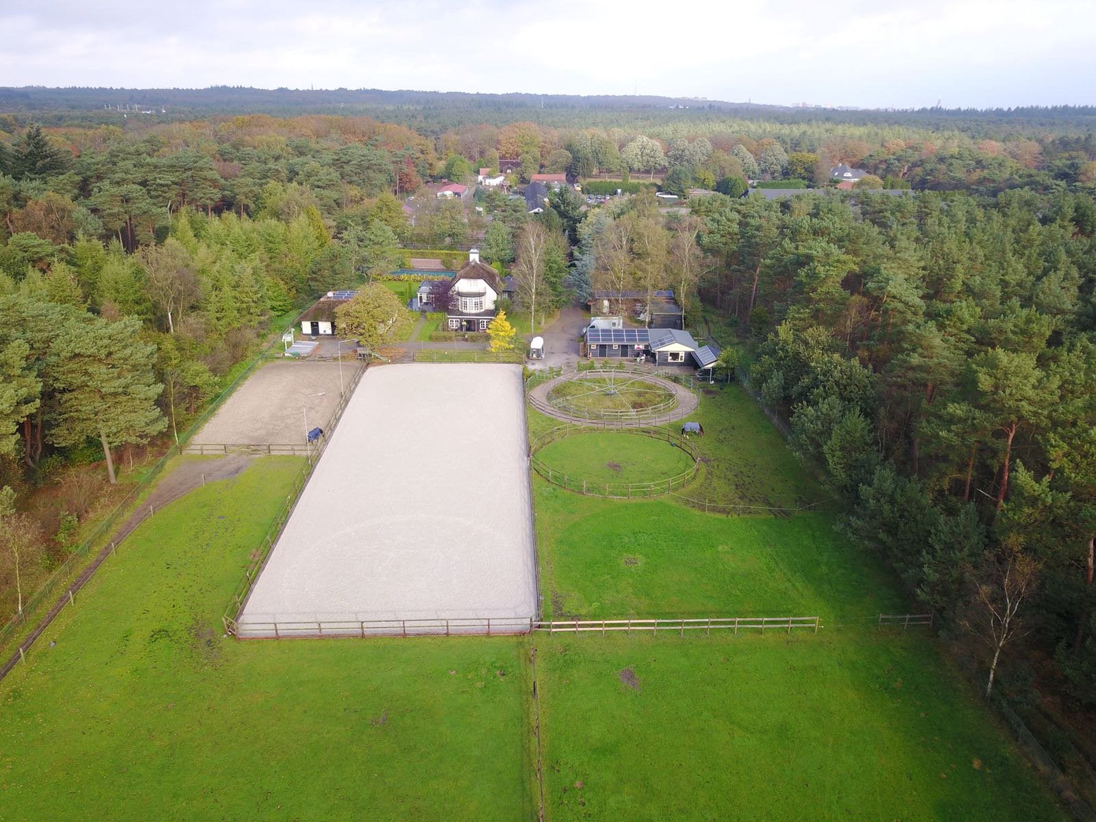 Stal voor ruin beschikbaar, Weidegang, 1 paard of pony