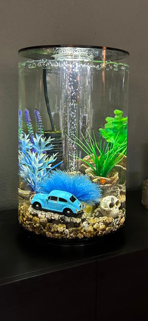 BiOrb aquarium Tube 30L - zeer compleet, Ophalen, Inclusief deksel, Oase, Gevuld zoetwateraquarium