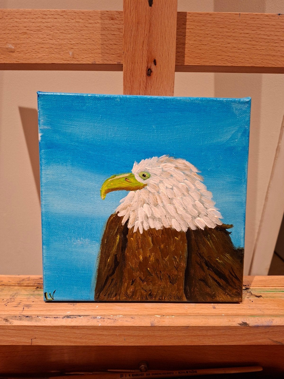 Schilderij van een Amerikaanse zeearend - 20x20 cm, Ophalen of Verzenden