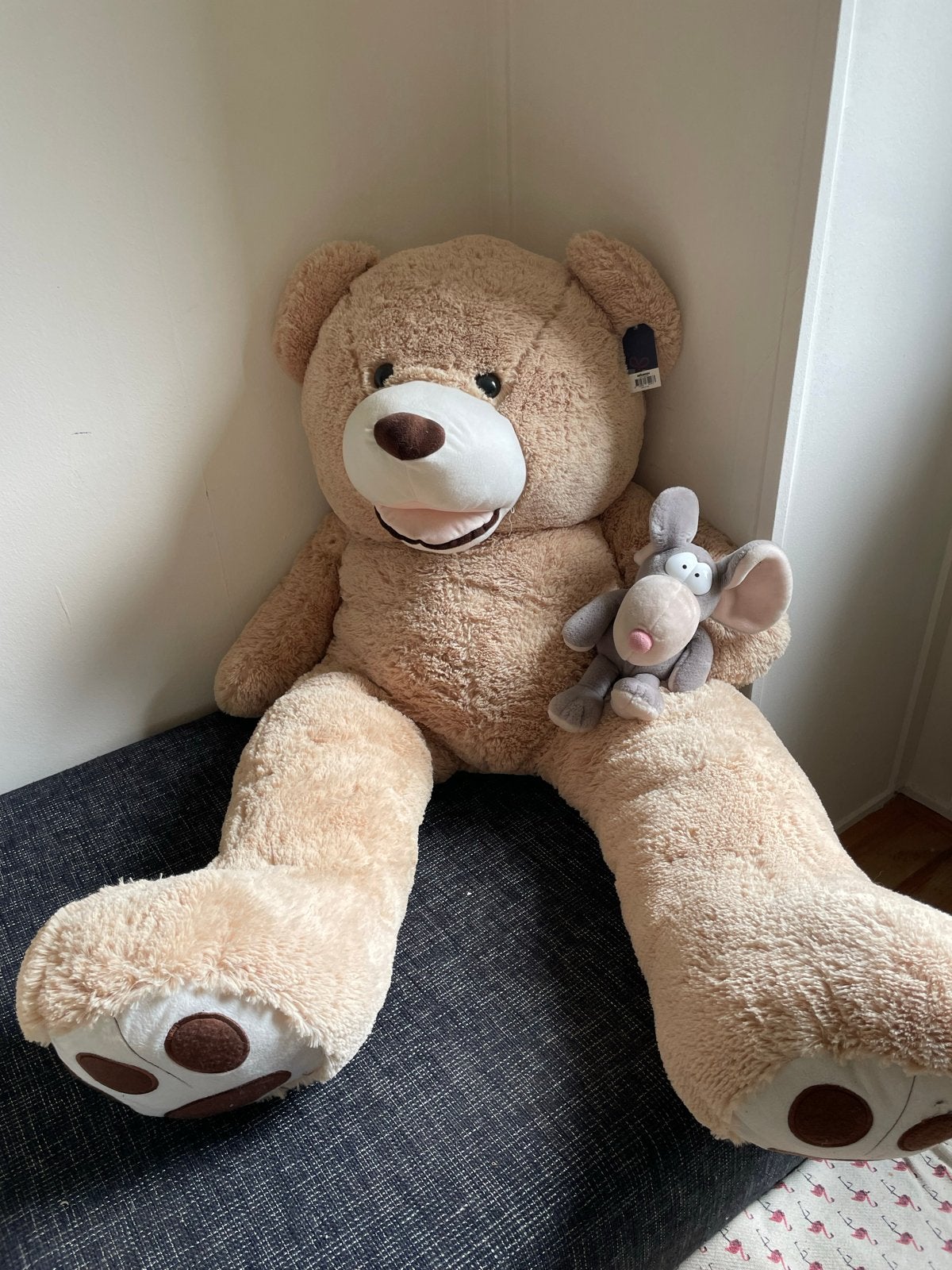 XXL Teddybeer 160CM - Grote Pluche Knuffelbeer, Beer, Nieuw, Ophalen of Verzenden, Met label