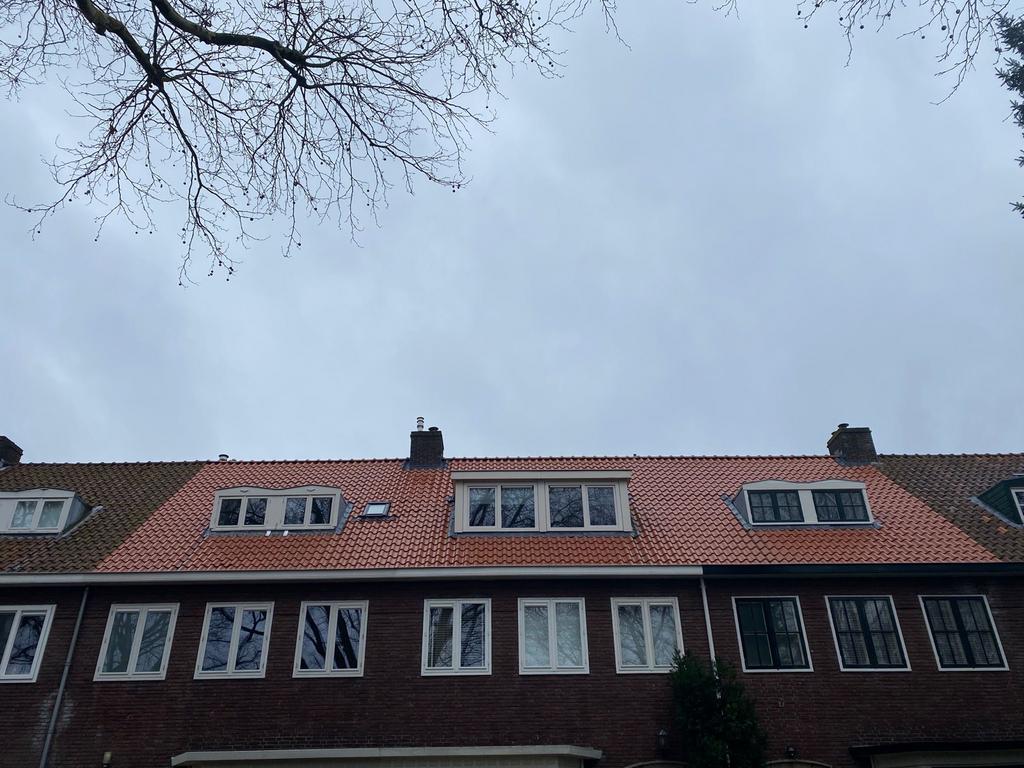 Foto 5 van Dakpannen vervangen ? Dakdekkersbedrijf DDI Gratis offerte.
