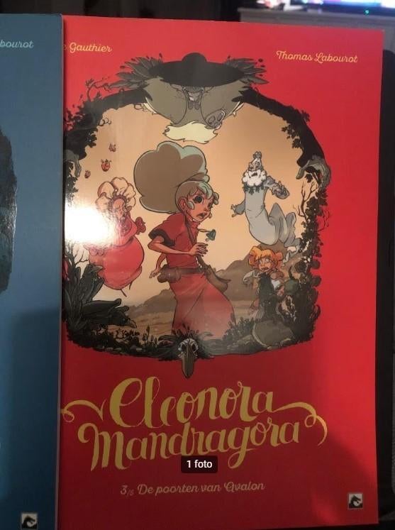 De poorten van avalon eleonora mandragora b4, Eén stripboek, Ophalen of Verzenden, Zo goed als nieuw