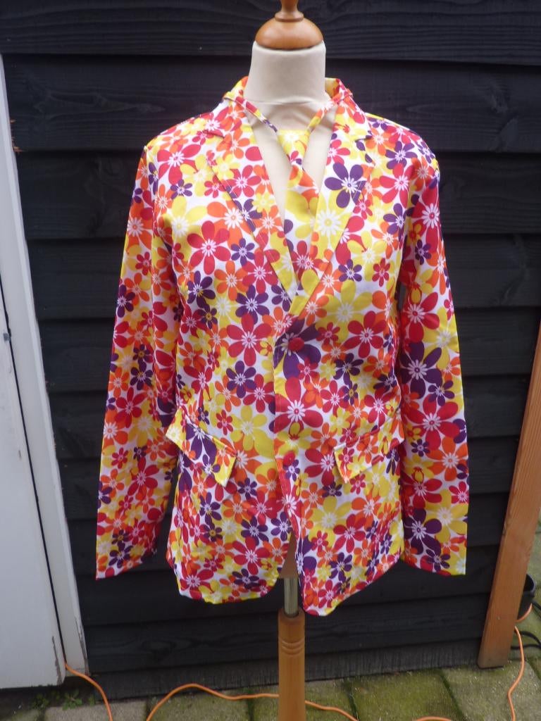 CARNAVAL, pak, kleurrijk pak, carnavalspak, Ophalen of Verzenden, Gedragen, Carnaval, Kleding