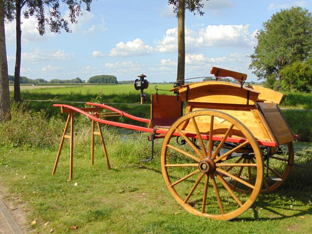 Antiek rijtuig, Dieren en Toebehoren, Rijtuigen en Koetsen, Zo goed als nieuw, Overige typen, Paard