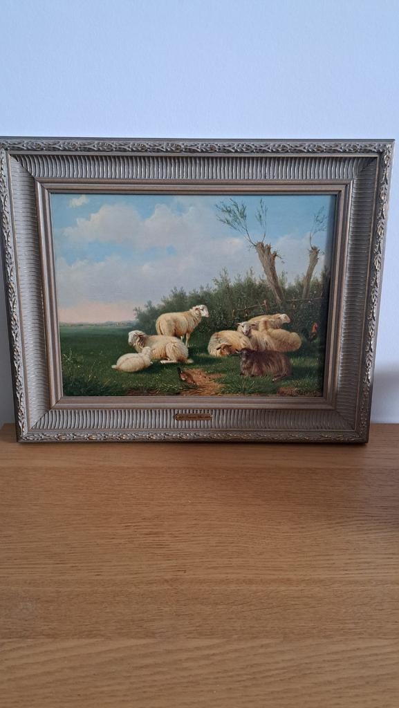 Laurens Plas - Schapen in Landschap, Ophalen of Verzenden